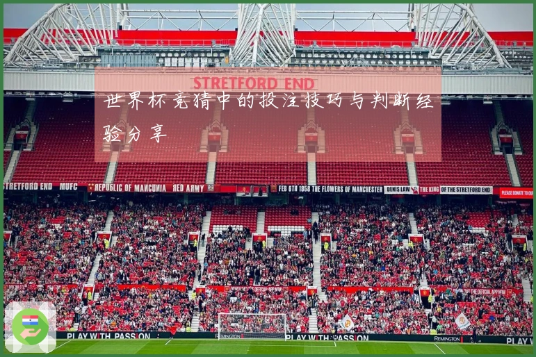 世界杯竞猜中的投注技巧与判断经验分享