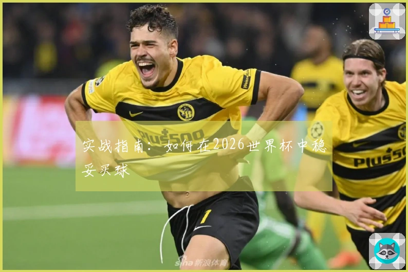 实战指南：如何在2026世界杯中稳妥买球