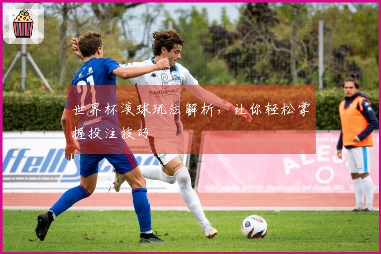 世界杯滚球玩法解析，让你轻松掌握投注技巧