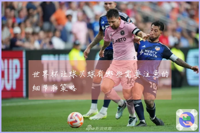 世界杯让球买球有哪些需要注意的细节和策略