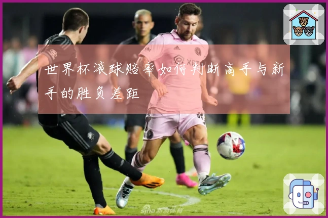 世界杯滚球赔率如何判断高手与新手的胜负差距