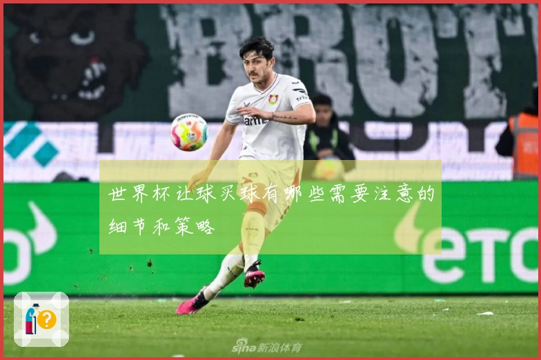 世界杯让球买球有哪些需要注意的细节和策略