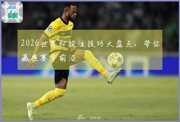 2026世界杯投注技巧大盘点，带你赢在赛季前沿
