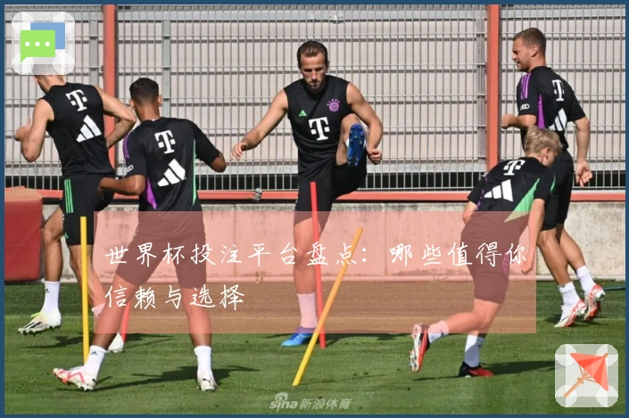 世界杯投注平台盘点：哪些值得你信赖与选择